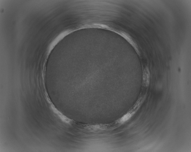 X0000068261054200604211039