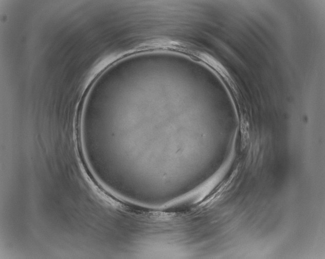 X0000068261055200604211039