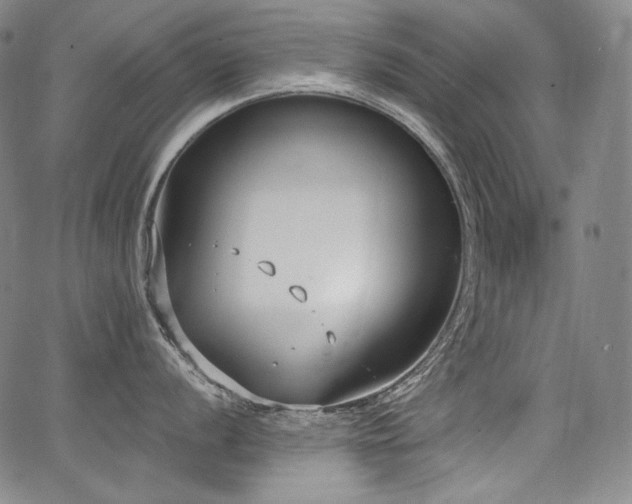 X0000068261056200604211039