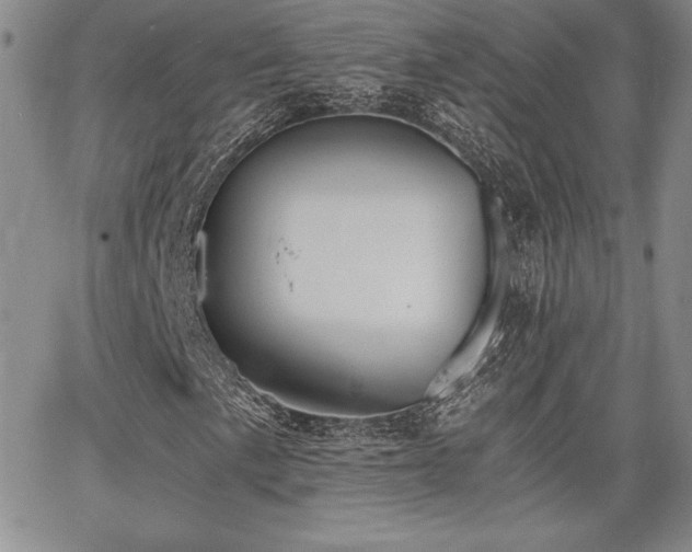 X0000068261057200604211039