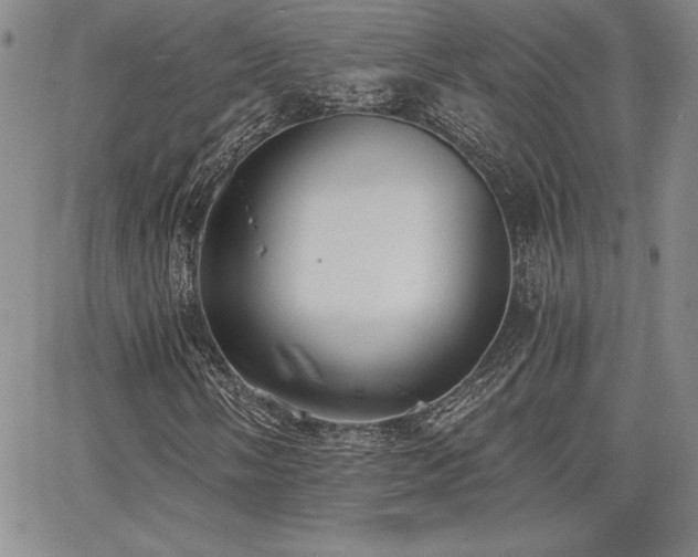 X0000068261058200604211039