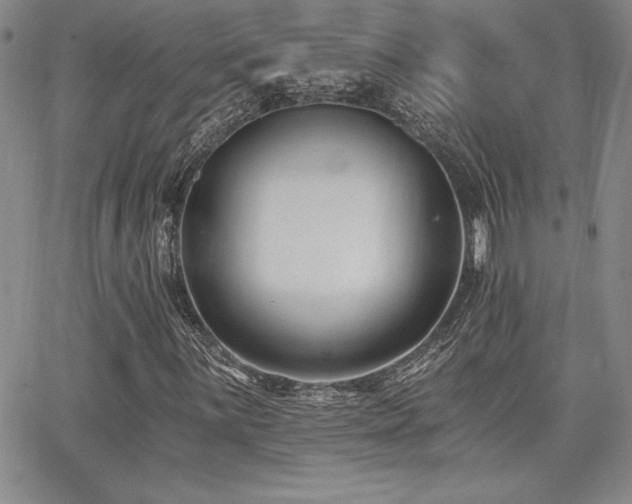 X0000068261059200604211039