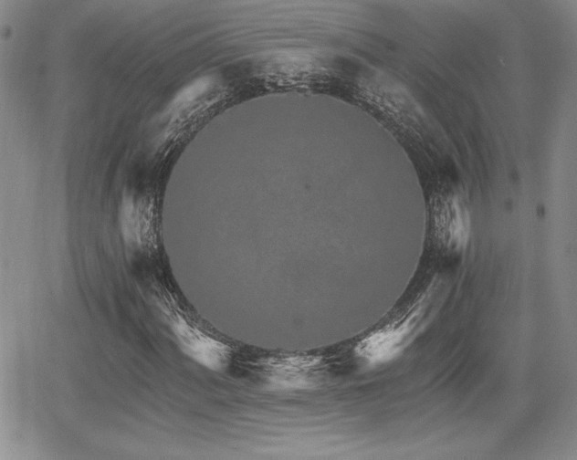 X0000068261060200604211039