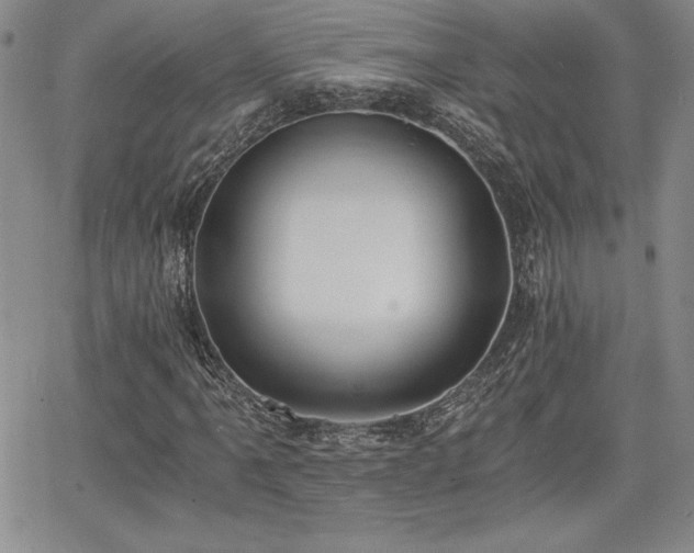 X0000068261061200604211039