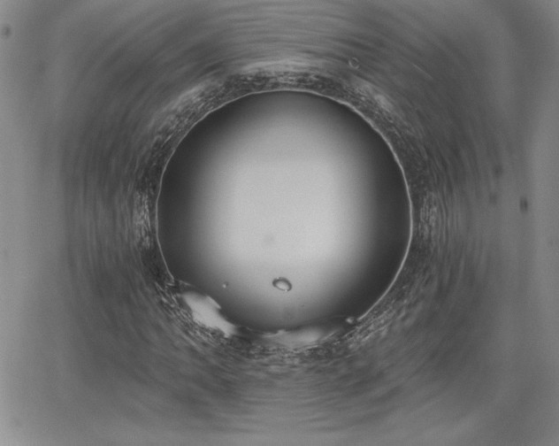 X0000068261062200604211039