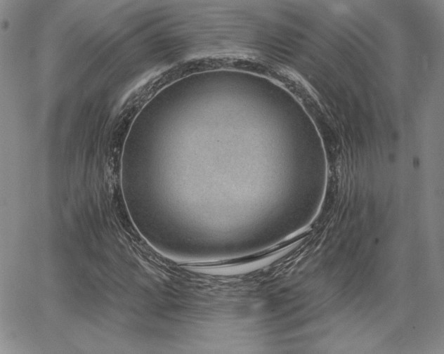 X0000068261064200604211039