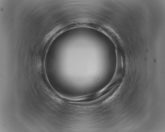 X0000068261065200604211039