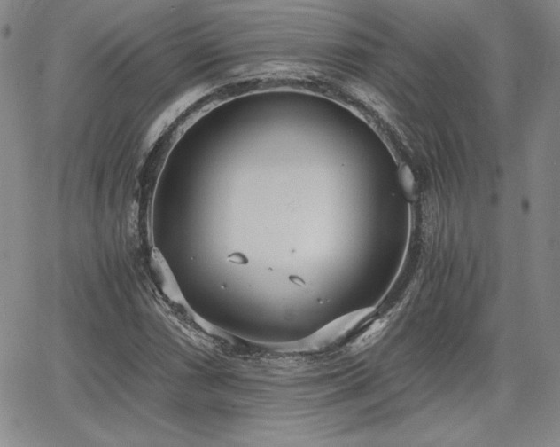 X0000068261066200604211039