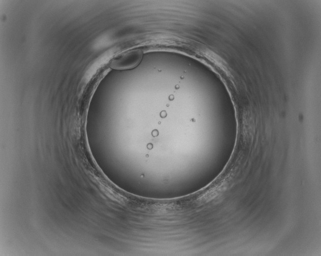 X0000068261067200604211039