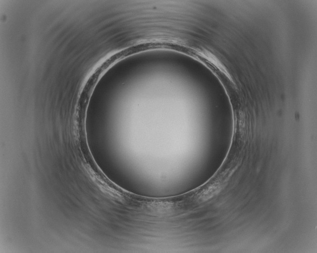 X0000068261068200604211039