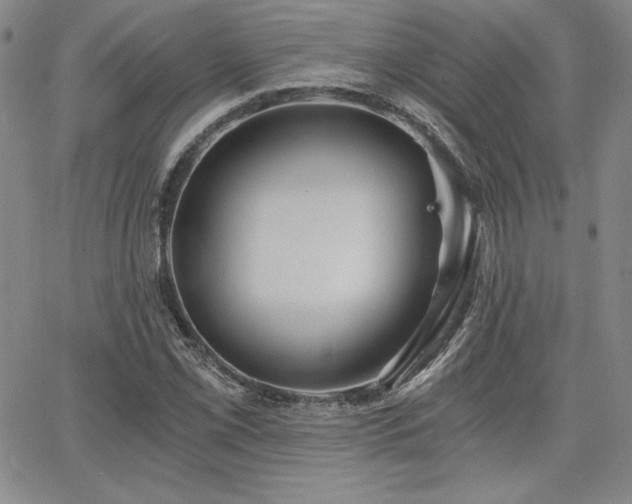 X0000068261069200604211038