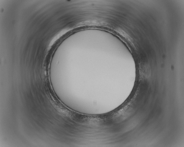 X0000068261070200604211038