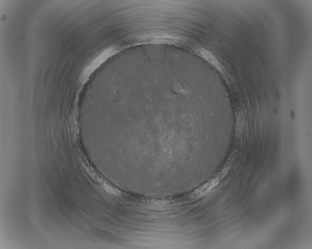 X0000068261071200604211038