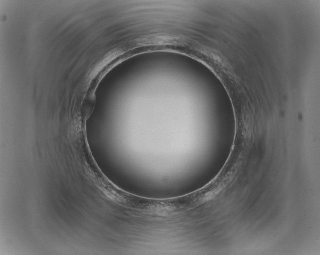 X0000068261073200604211038