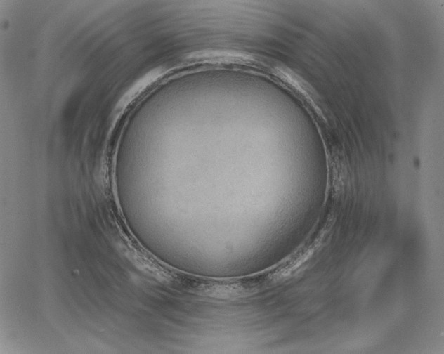 X0000068261074200604211038