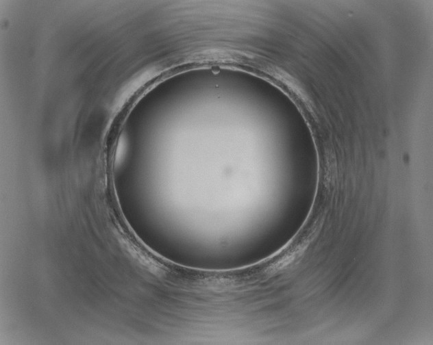 X0000068261075200604211038