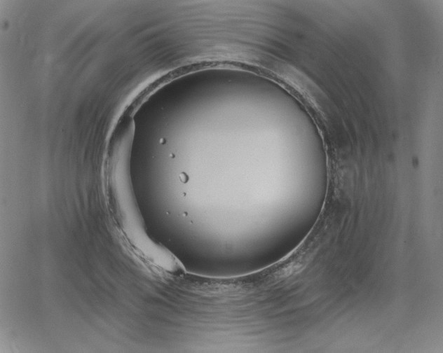 X0000068261076200604211038