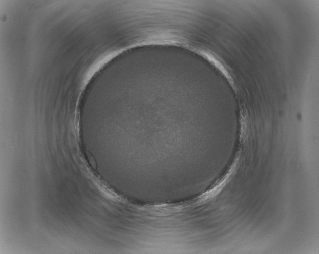 X0000068261077200604211038