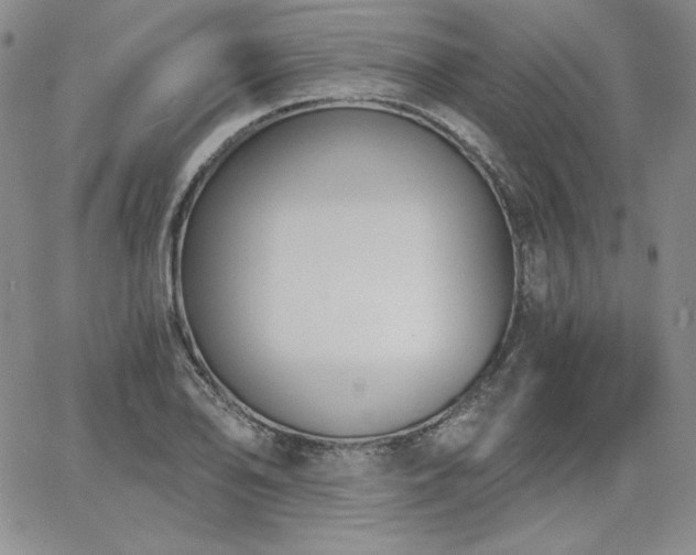 X0000068261078200604211038