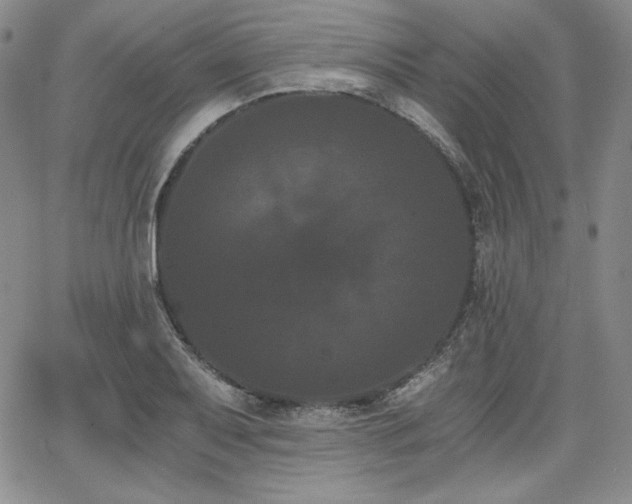 X0000068261079200604211038