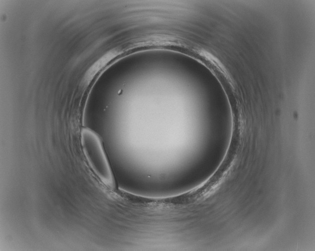 X0000068261081200604211038