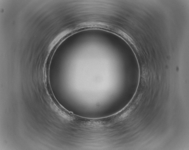 X0000068261082200604211038