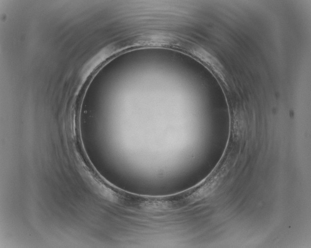 X0000068261083200604211038