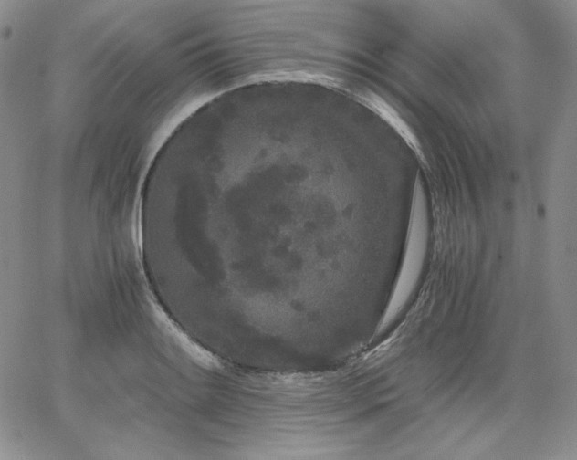 X0000068261084200604211038