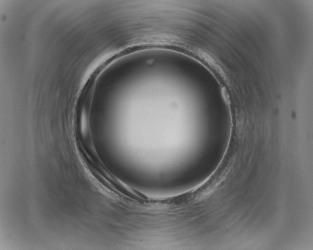 X0000068261085200604211038