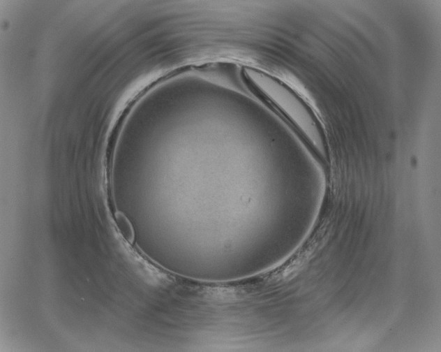 X0000068261088200604211038