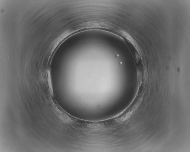 X0000068261089200604211038