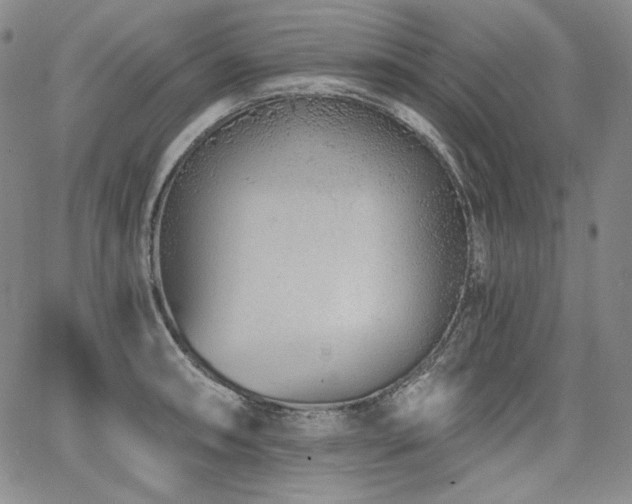 X0000068261090200604211038