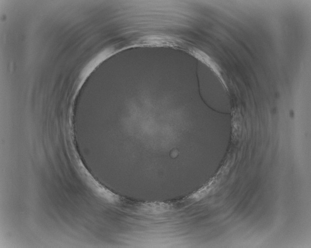 X0000068261091200604211038