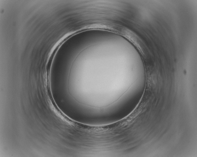 X0000068261092200604211038