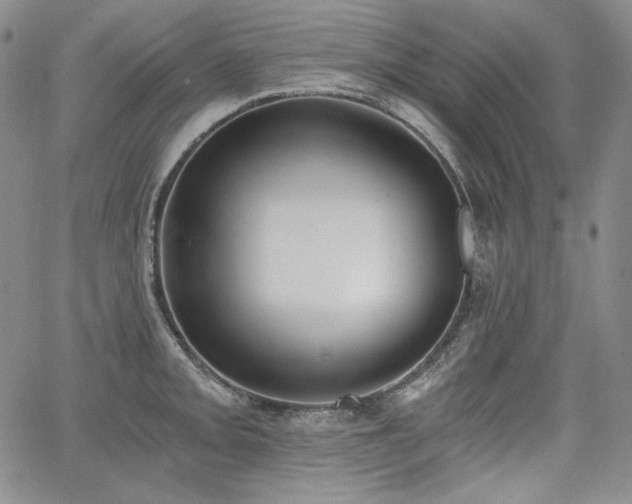 X0000068261093200604211038