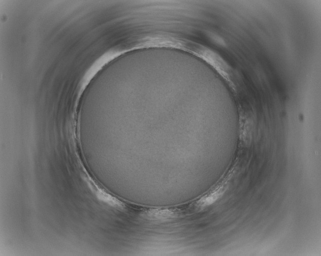 X0000068261094200604211038