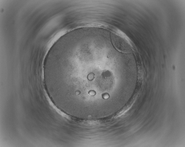 X0000068261095200604211038