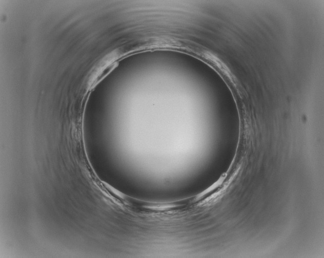 X0000068261097200604211038