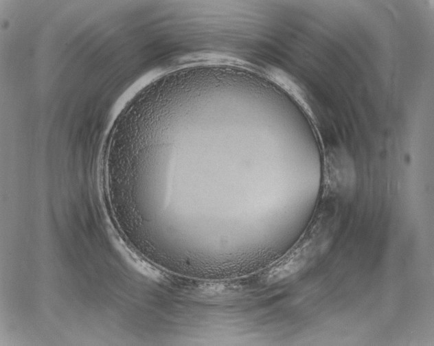 X0000068261098200604211038