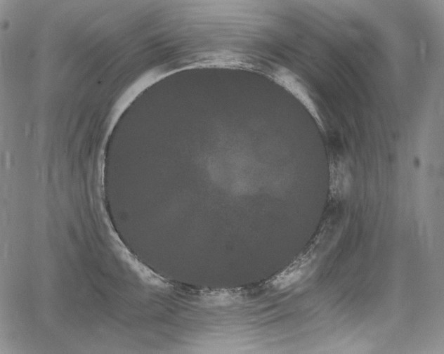 X0000068261099200604211038