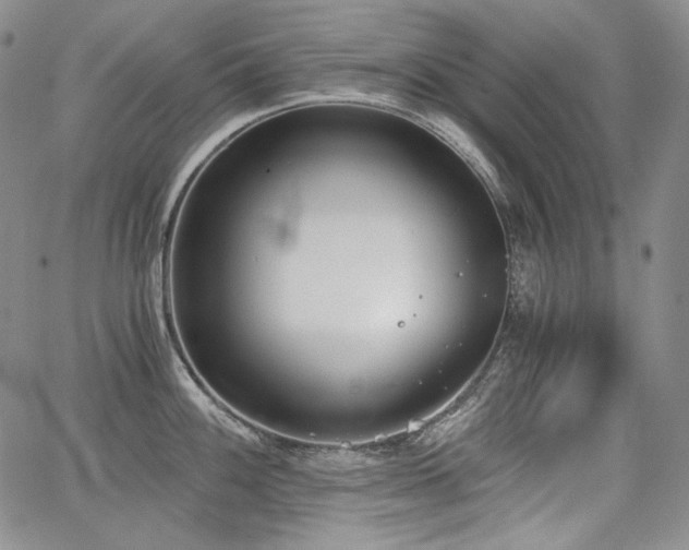 X0000068261100200604211038