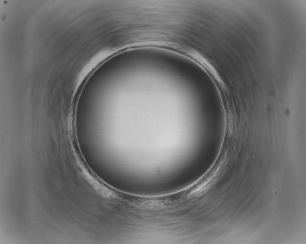 X0000068261101200604211038