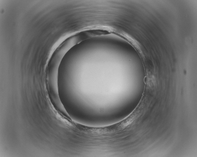 X0000068261102200604211038