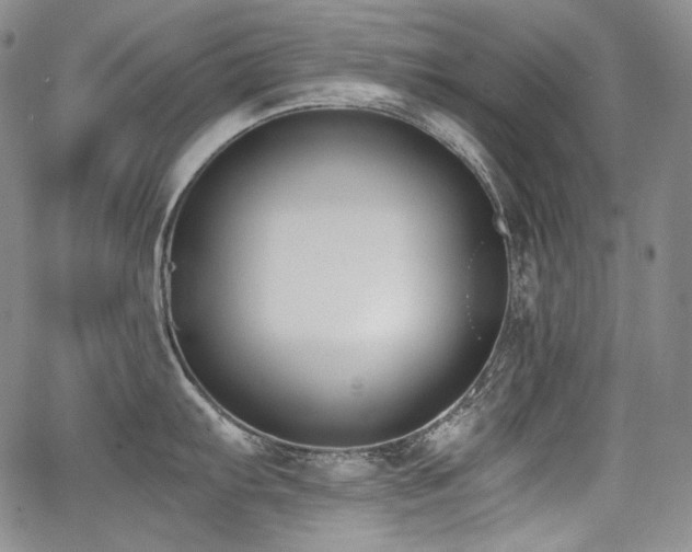 X0000068261103200604211038