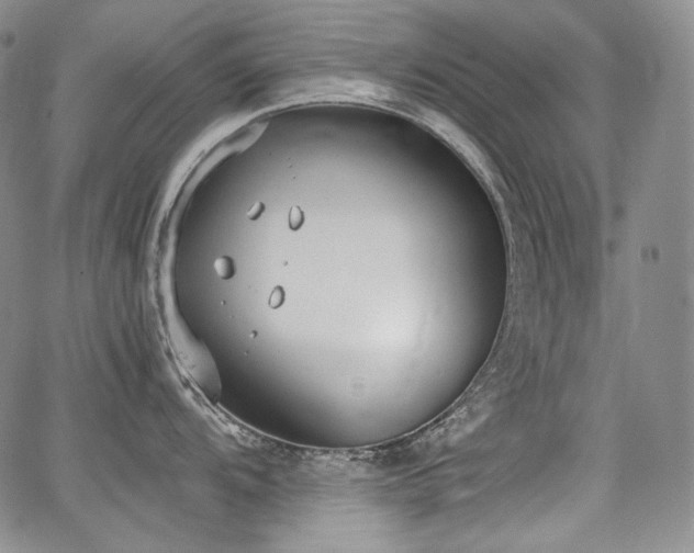 X0000068261104200604211038