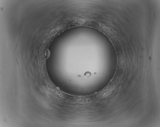 X0000068261105200604211037