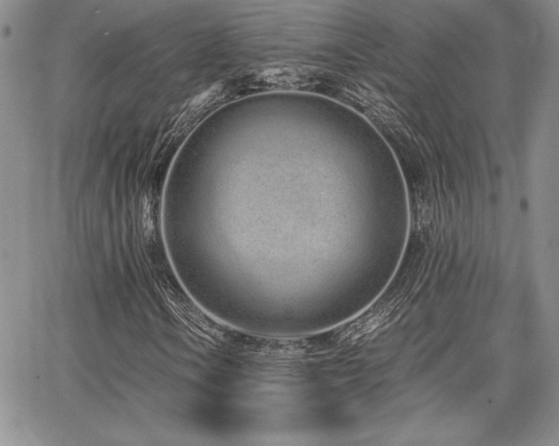 X0000068261106200604211037