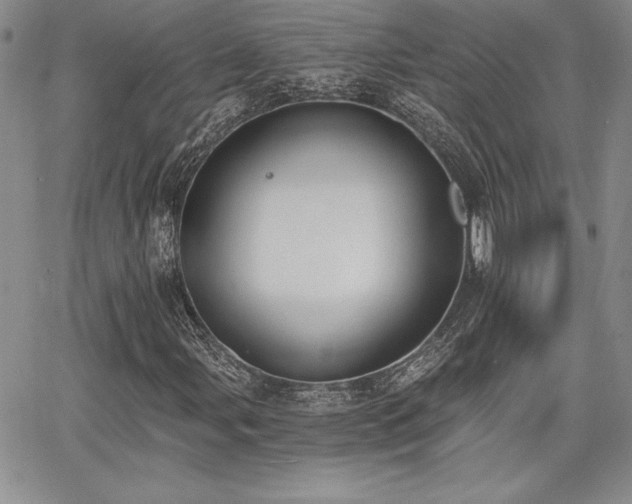 X0000068261107200604211037