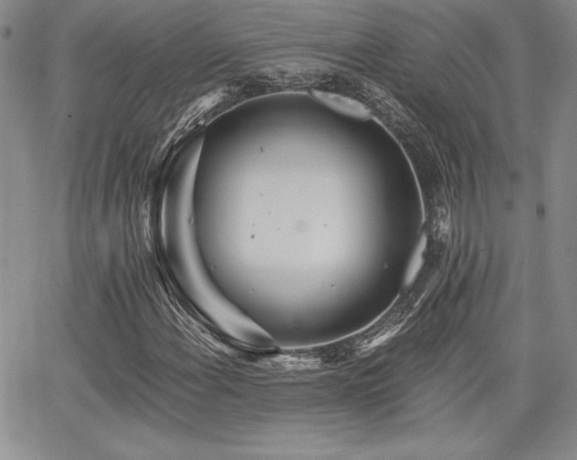 X0000068261108200604211037