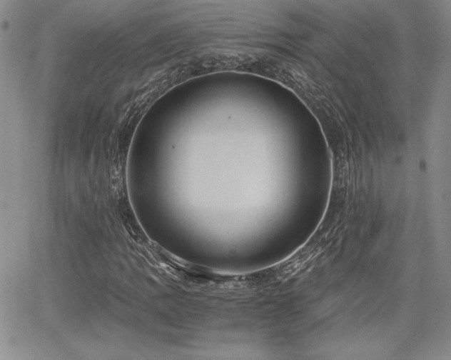 X0000068261109200604211037